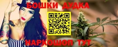 индика Кулебаки