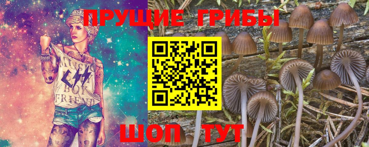 Галлюциногенные грибы GOLDEN TEACHER  Вход с VPN  Иваново 